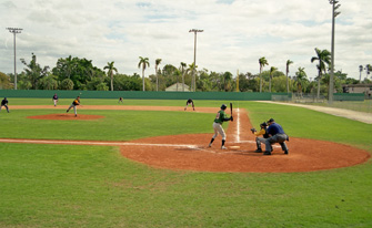 Terry Park